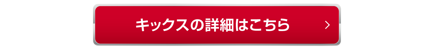 北海道の冬